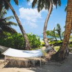 Time Off - white and black lounge chairs near palm trees under blue sky during daytime