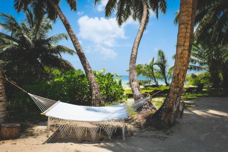 Time Off - white and black lounge chairs near palm trees under blue sky during daytime