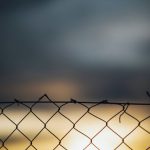 Work Boundaries - a bird sitting on top of a chain link fence