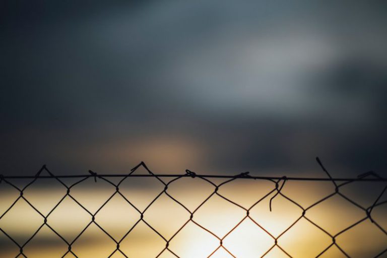 Work Boundaries - a bird sitting on top of a chain link fence