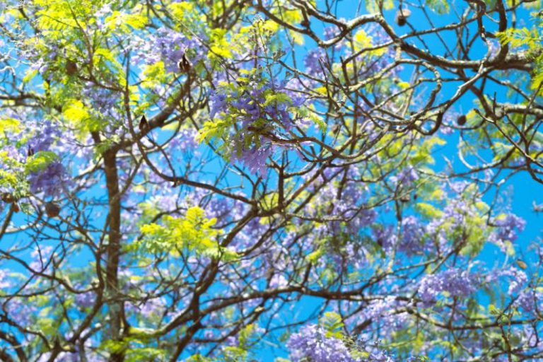 Biotechnology Art - a tree filled with lots of purple and green flowers