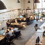 Freelancing Career - people sitting in front of computer monitors