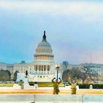 Protecting Work - white and black dome building