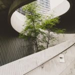 Sustainable Business - architectural photography of concrete stair