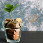 Financial Management - green plant in clear glass vase